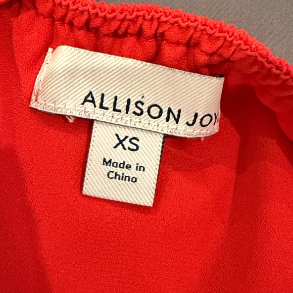 Allison Joy Vibrant Red Camisole - Picture 5 of 6